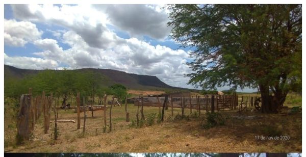 Sítio Gameleira - 8,90ha - Zona Rural - Ipubi/PE - Parcelamento em até 60x
